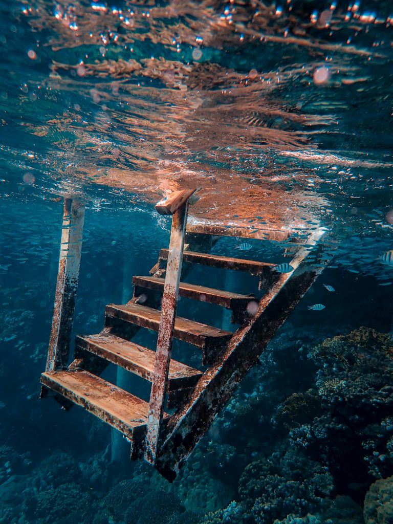 An underwater shot of a rusty metal staircase surrounded by coral reef, vibrant marine life, and fish.